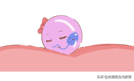 10年不孕，40岁卵巢功能差的她，通过这个试管助孕方案喜获单胎