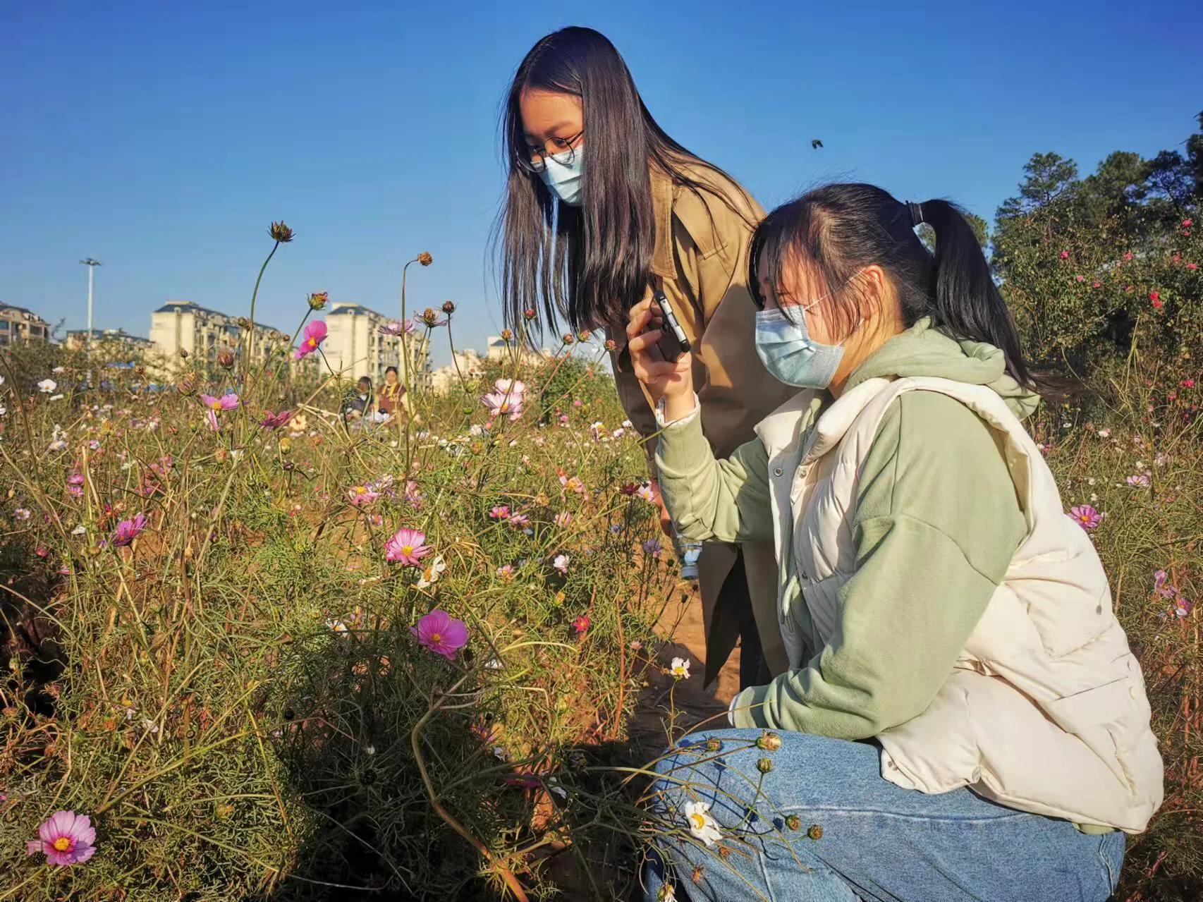 胡立强用华为手机拍摄（红花献给党）
