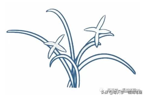 每天学一幅简笔画--兰花简笔画的画法步骤教程及图片大全