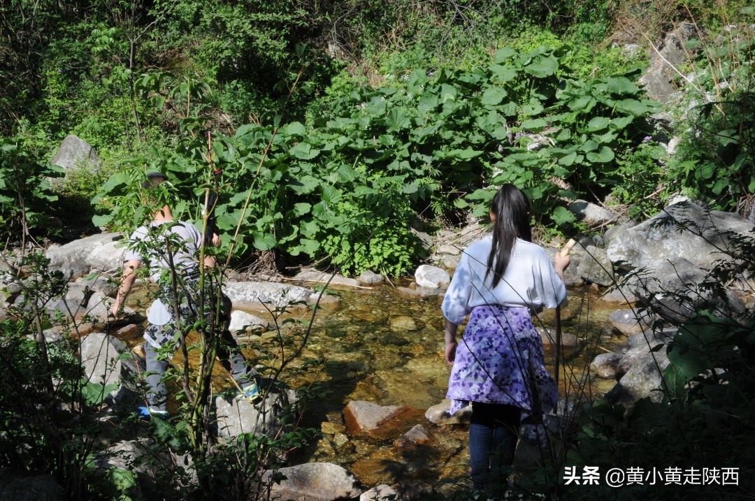 探秘东秦岭，原来从西安到商洛还有这样一条密道，一路都是风景