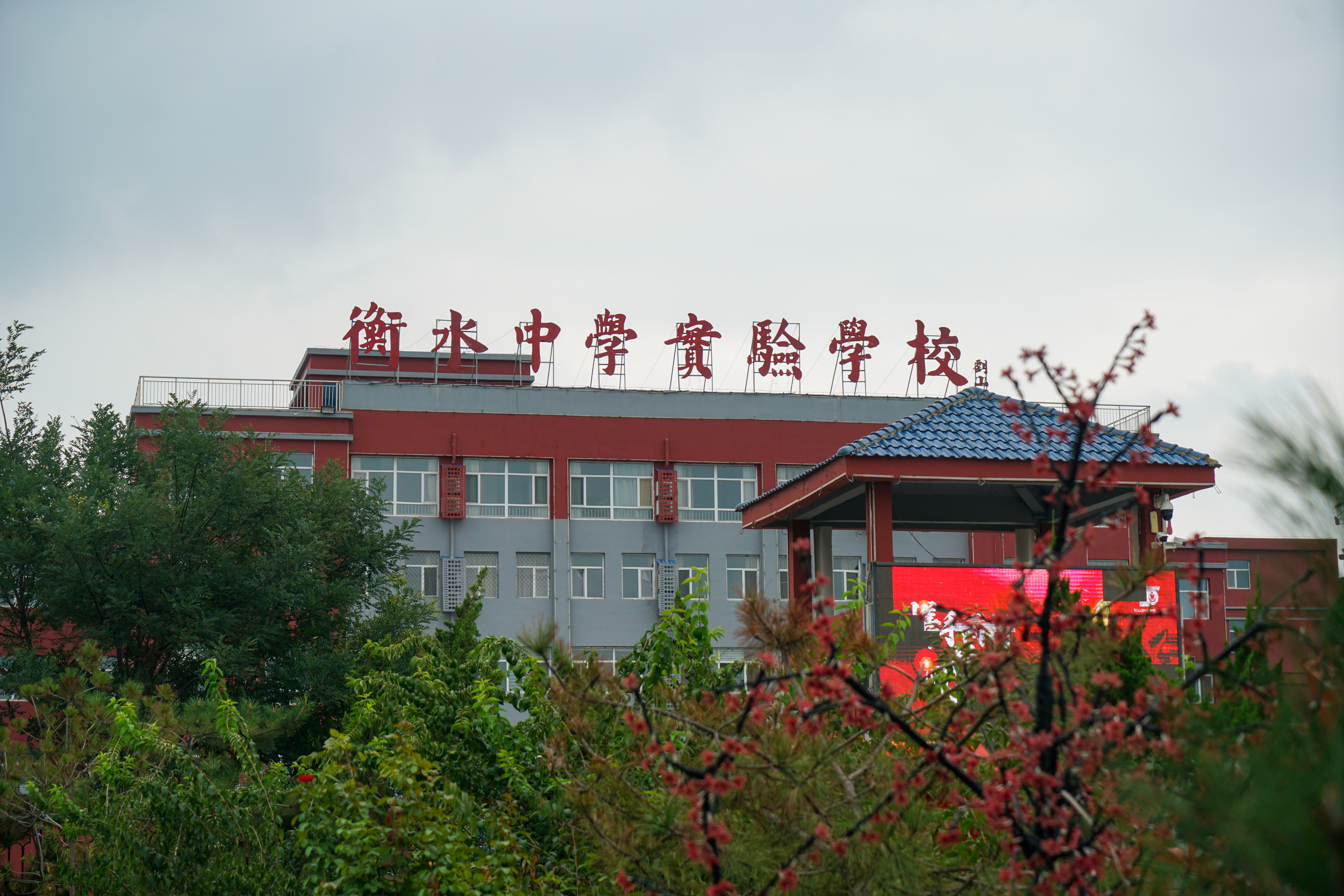 功勋教师频频从衡水中学出走，到各地分校担任校长，还有人在上市公司持股