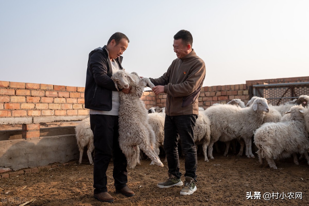 干什么赚钱快,说点现实的，在农村有什么好的创业项目赚钱？