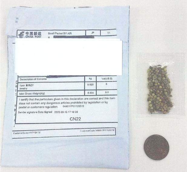 神秘的东方种子，让亚马逊上的中国卖家被团灭