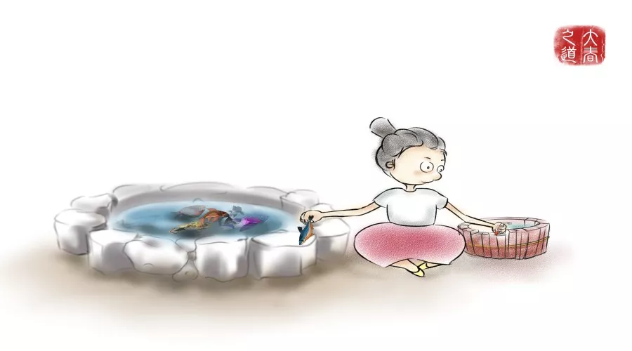 健康观念：治与调的区别