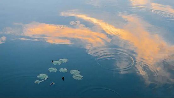 热议！天津大学究竟有多好？官方回应：就14个字！