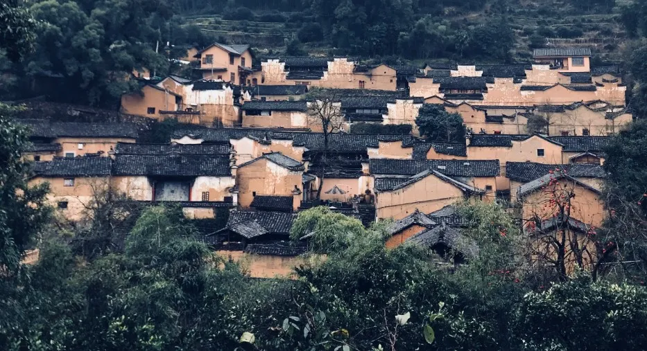 浙南秘境里“江南布达拉宫”式野奢山居民宿丨丽水松阳揽树山房