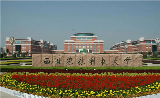 高考报考：西北五省各高校录取分数汇总，考生家长收藏