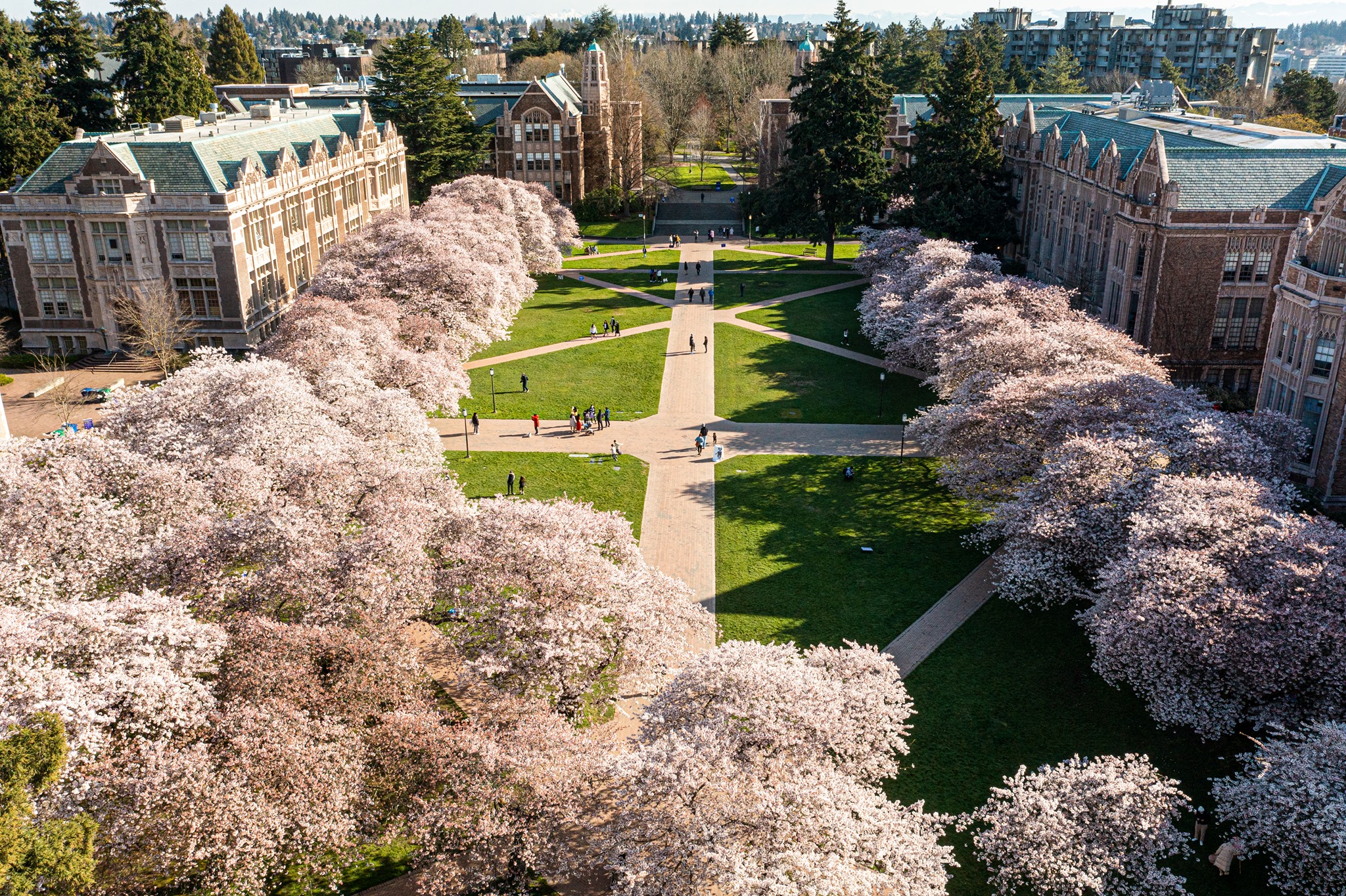 美国最顶尖的十所大学（美国最著名的大学排名）