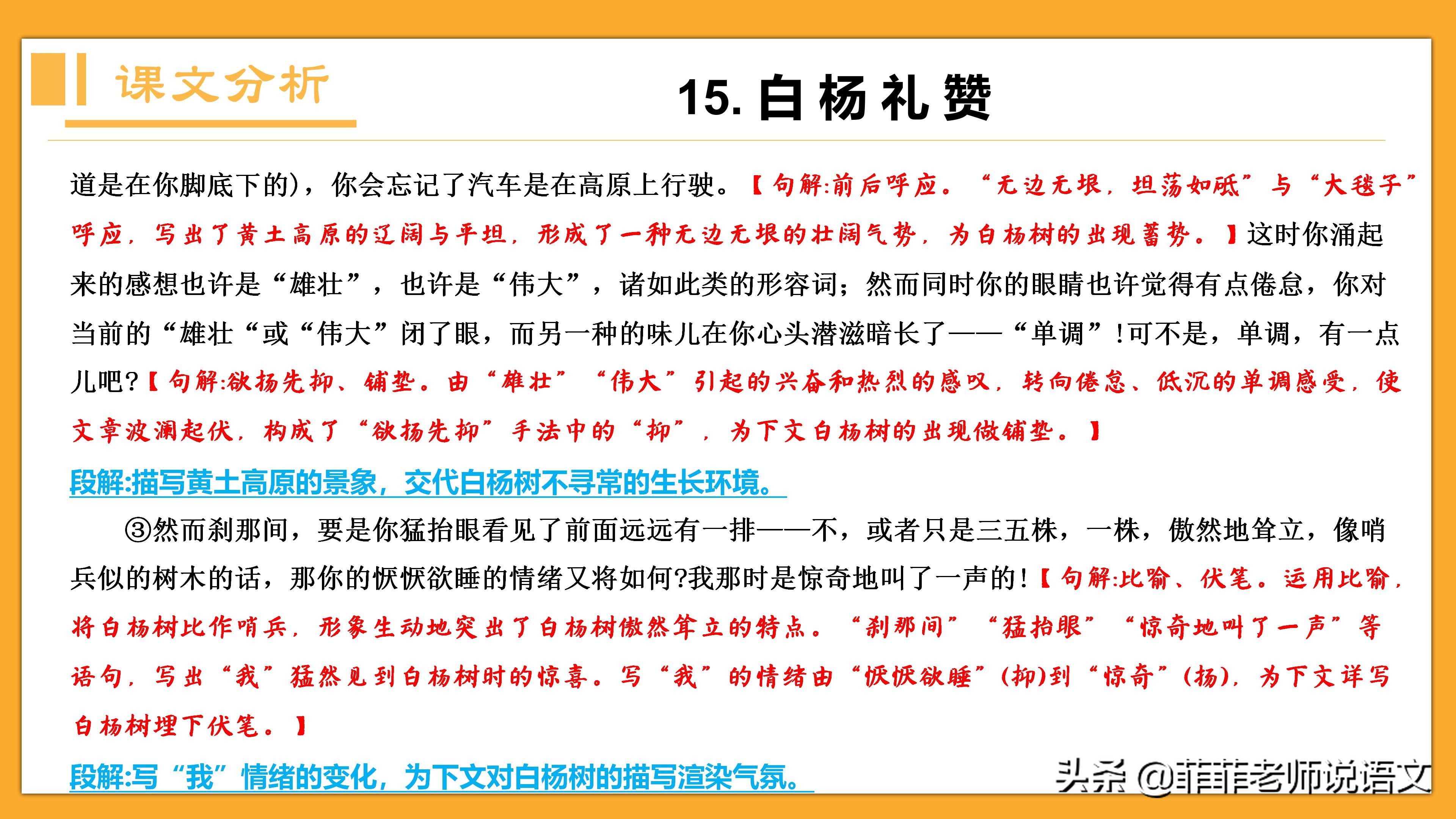 八年级语文上册第15课《白杨礼赞》详细笔记。预习复习可用