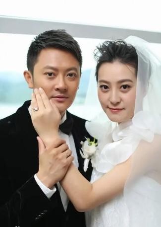 娱乐圈的8大“海岩男郎”，年轻时个个丰神俊朗，气宇不凡