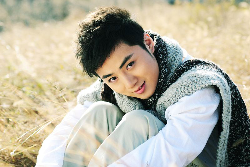 这14位湖北籍男星个个帅气迷人