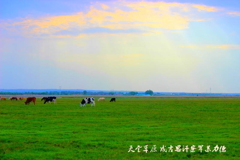 中国北方避暑圣地，推荐4个边旅游、边避暑的好地方，温度21°凉爽
