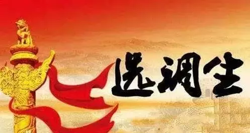 河北定向招录选调生906人！最快一年任正科，快看职位表