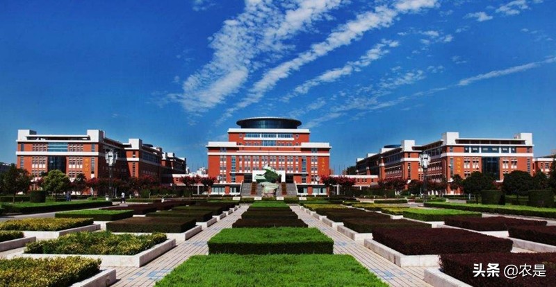 王昕（女），西北农林科技大学教授、博导，动物育种专家