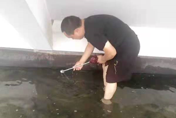 农大人的身影在前，我们“豫”难而上