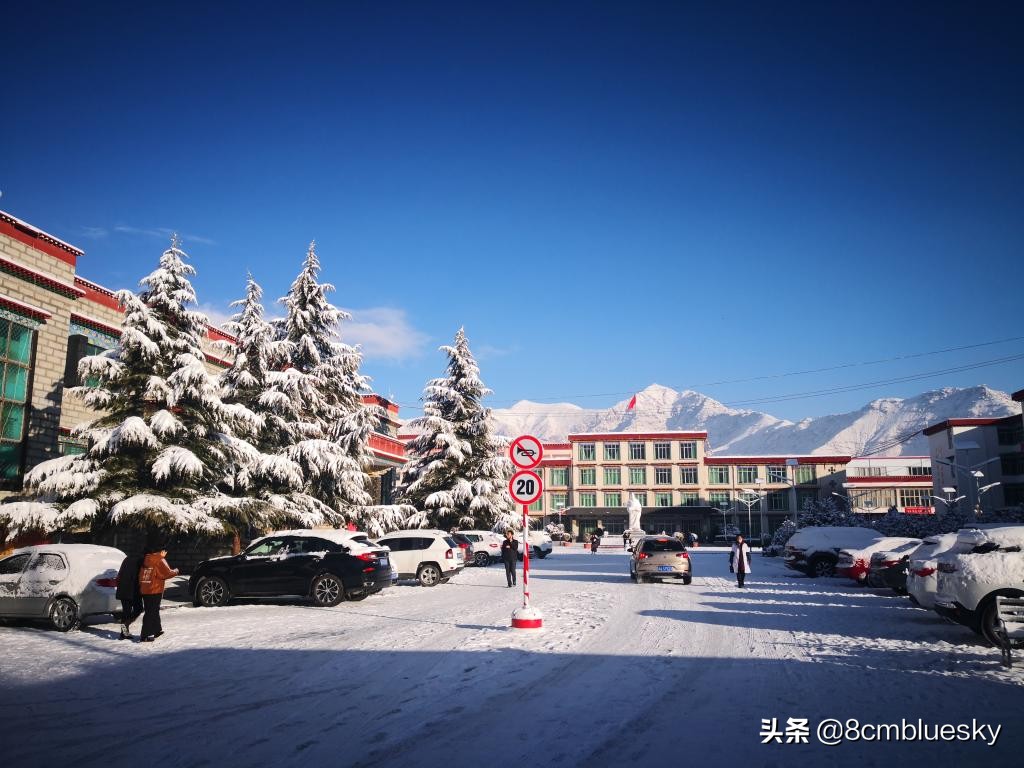 未来大有可为，中医药高校盘点（二十五）——西藏藏医药大学