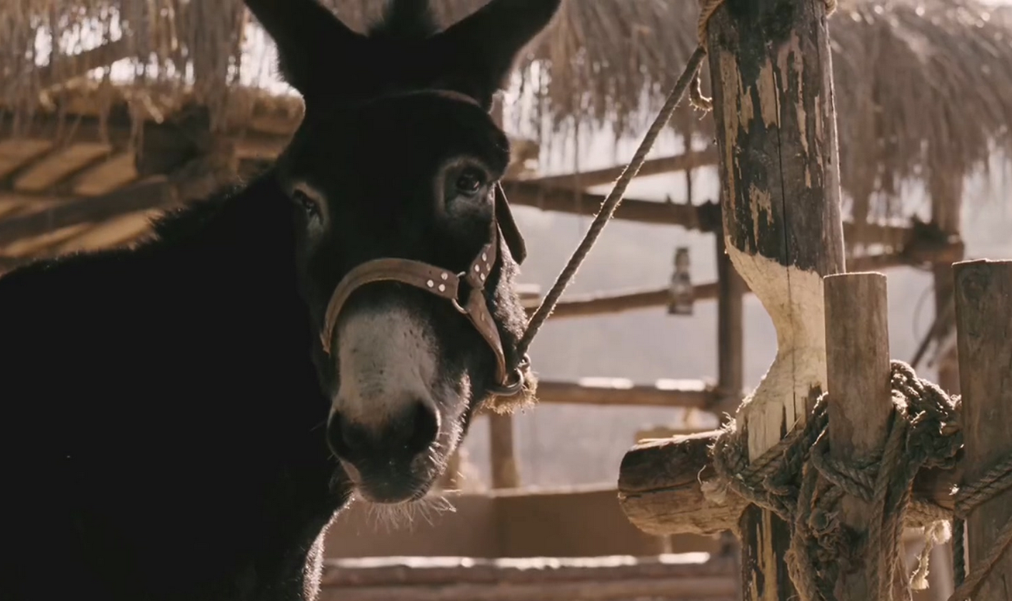 走着瞧好看吗电影 _晶羽科技