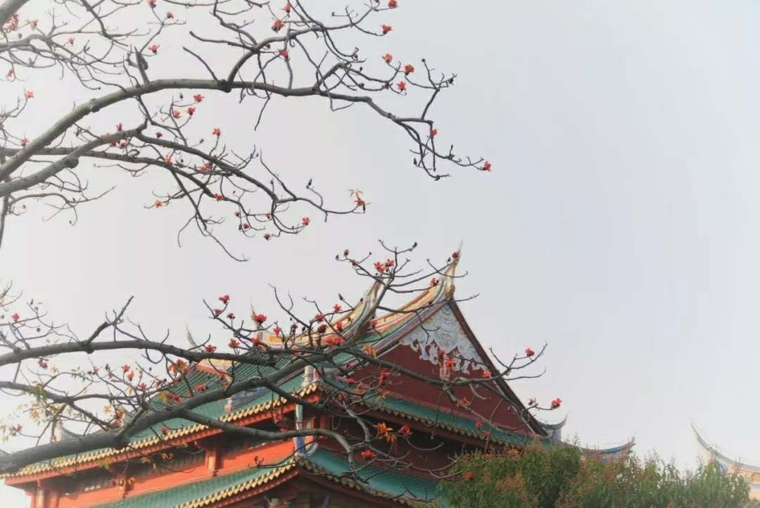 中国这10所大学壁纸第二期！厦门大学、中山大学等在列