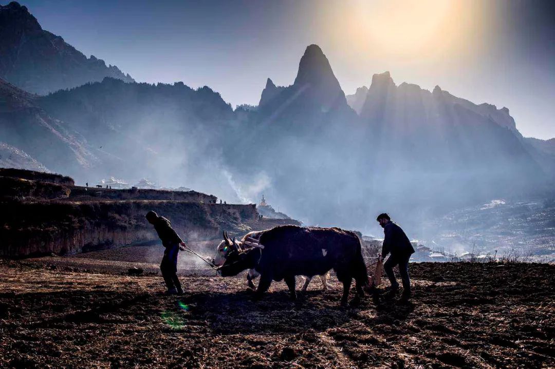 思念家乡的诗句想念家乡的朋友圈说说
