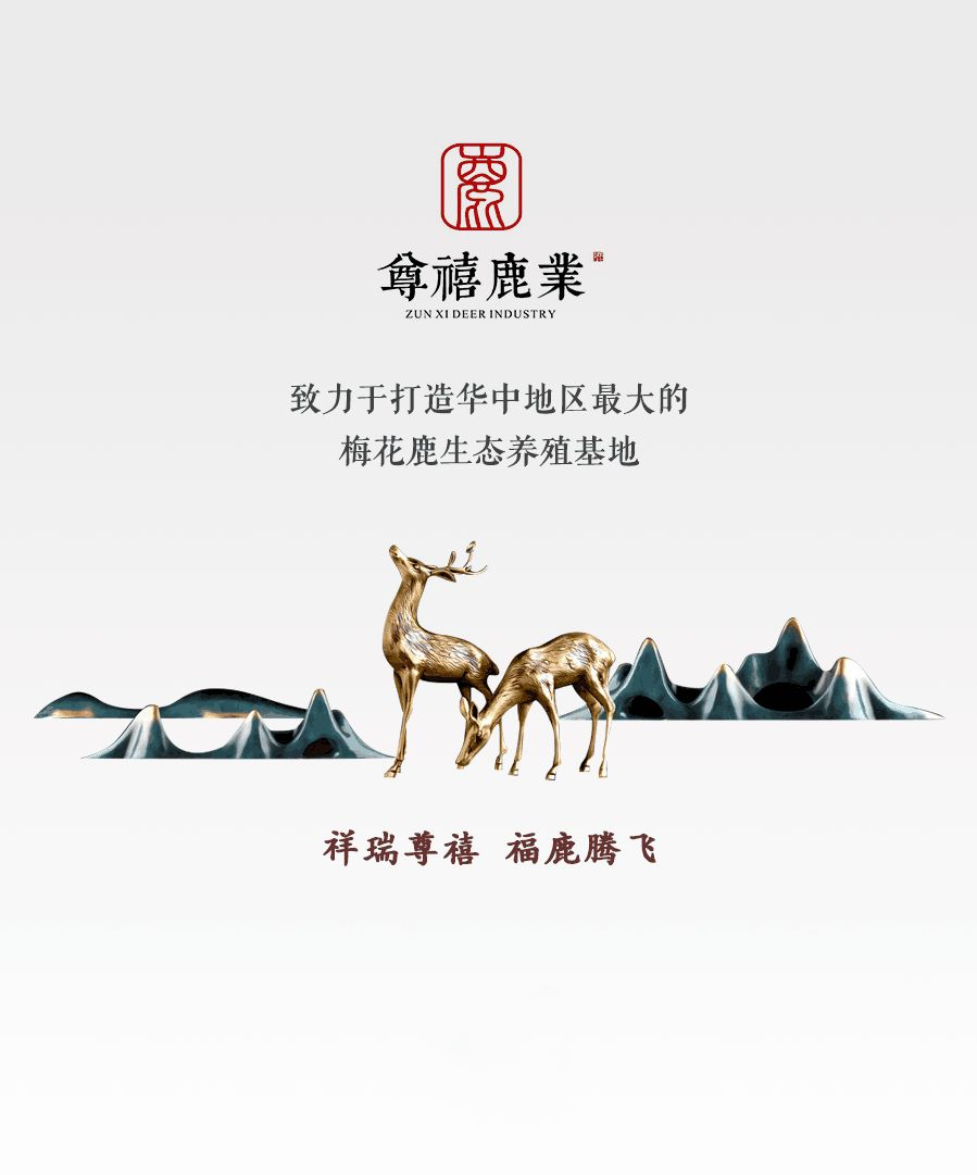 鹿肉好吃难去腥？这样做鲜美至极，没腥味