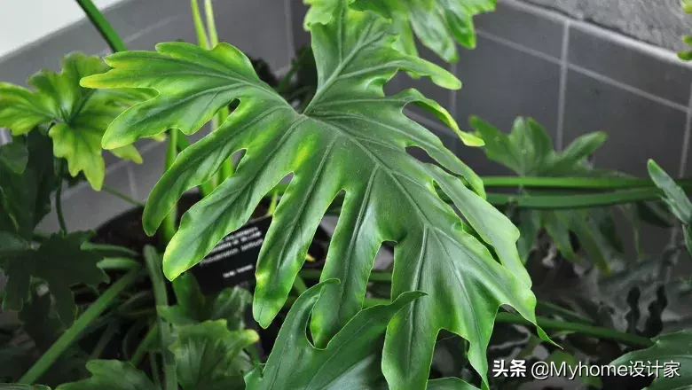 宜家这5样，让小户型客厅化身ins风