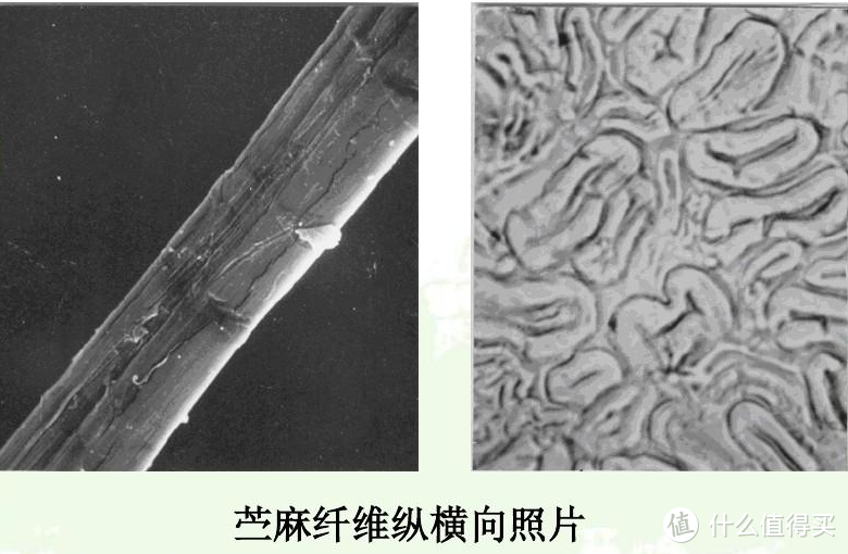 冰絲竹席藤席哪個好？一文看懂涼席如何買