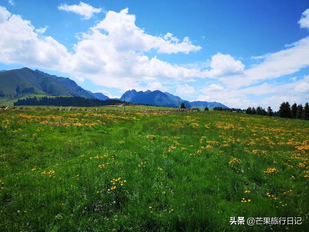 南山牧場在哪裡(新疆烏魯木齊南山牧場,門票45元,風景如畫遊客少)