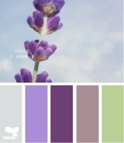 【Photoshop教程】PS新手不会配色？两大秘笈让菜鸟也能玩转颜色