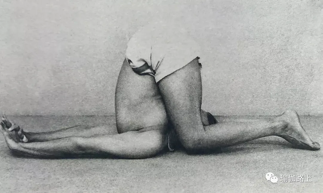 艾扬格密集一 | 32 个经典体式 & 2 大呼吸法经典示范图