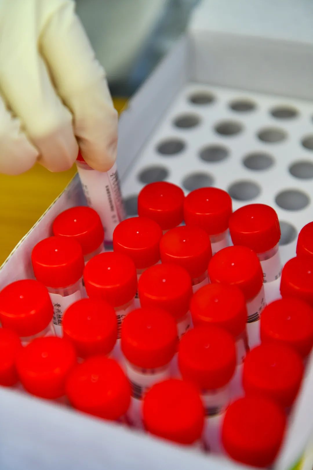 均为阴性！遵义中心城区首轮全员核酸检测结果发布！二轮检测开启