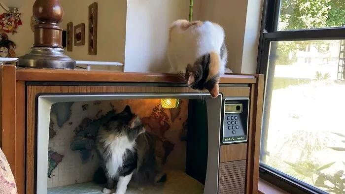 30个你没有见过的废物再利用的物品，非常的实用