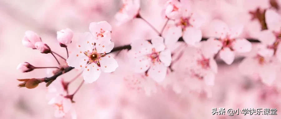 100首春天唯美古诗词（值得收藏！）