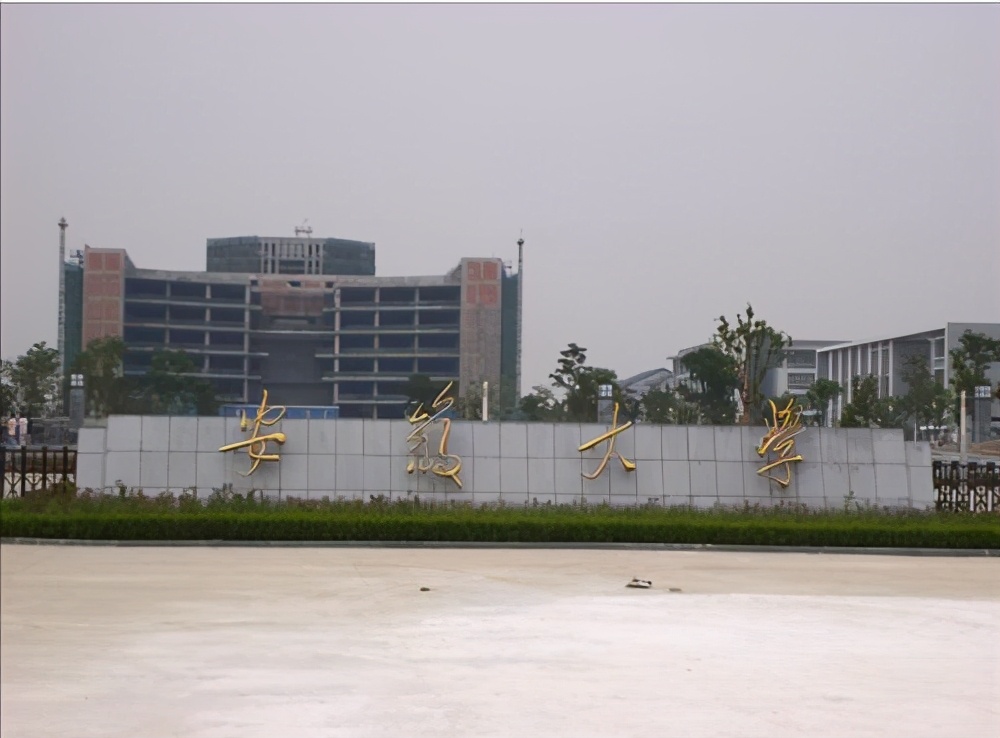 安徽省迎来“好消息”，110个本科专业，成功入选“国家一流”