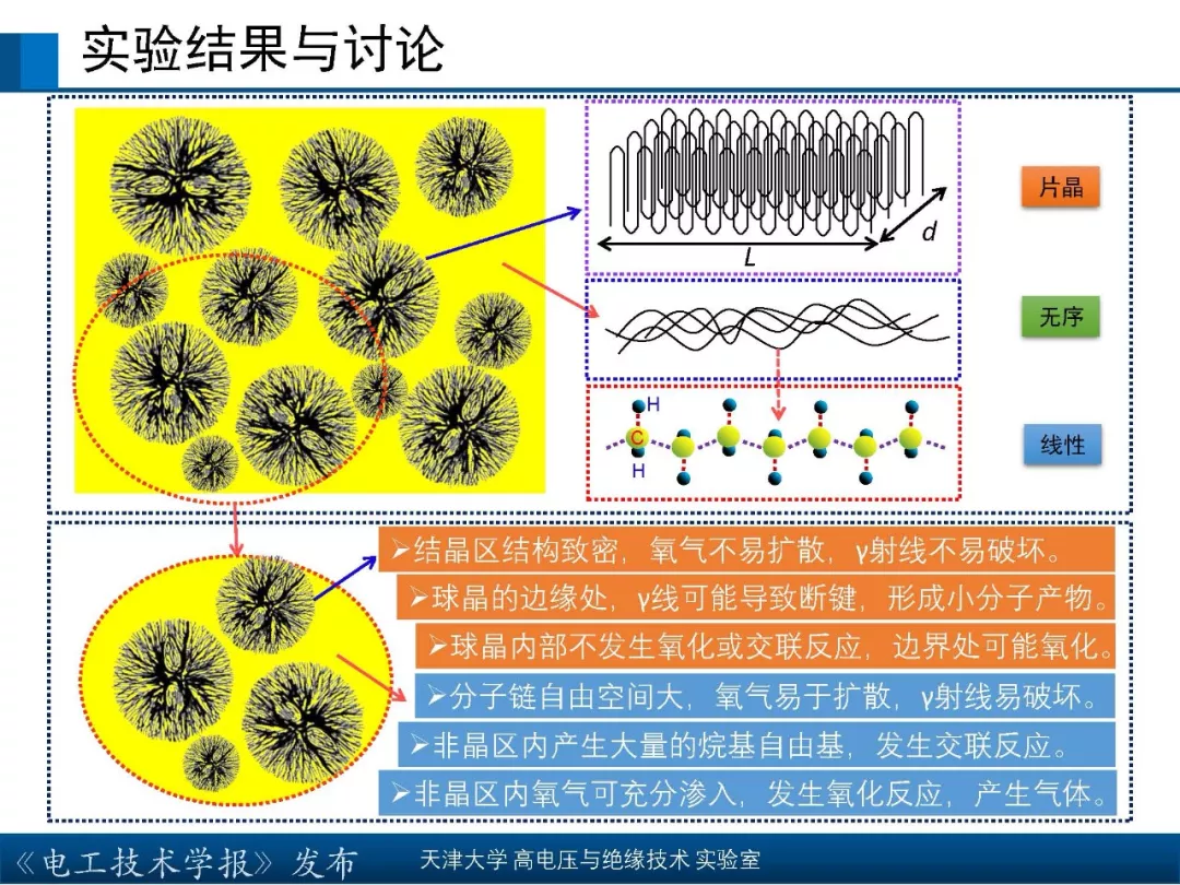 天津大学高宇副教授：核辐射环境下聚合物绝缘材料的研究新成果