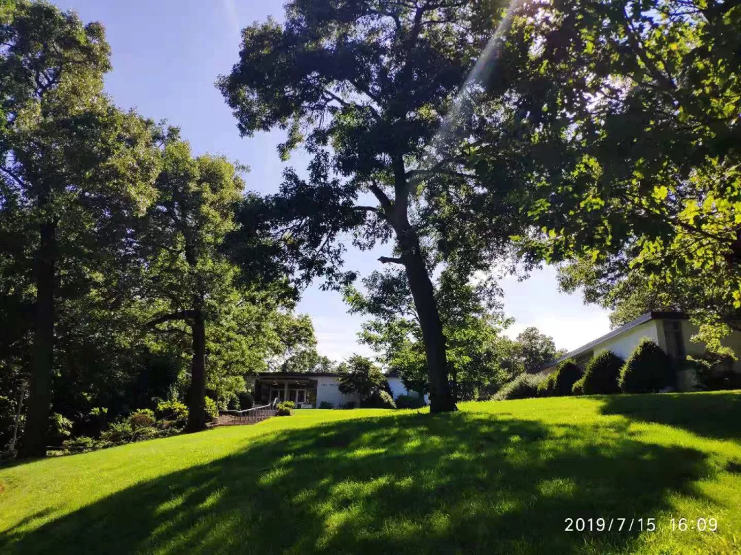 网课值不值？疫情期间，我在布兰迪斯大学的就读体验