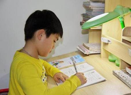 小学生眼中的爱国情怀：心中有国，行动见爱