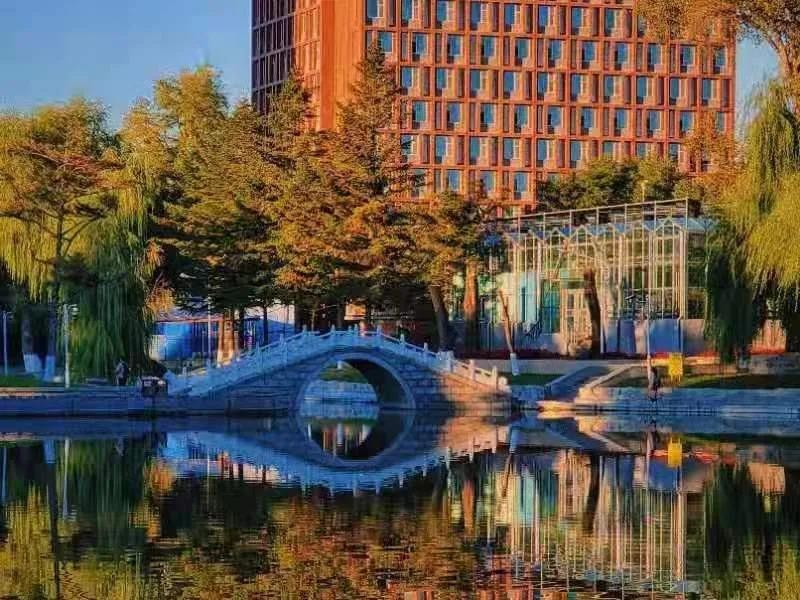 稳坐专业第一，本科发3篇SCI，东北美女学霸“火”了：已直博清华