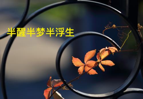 半苦半乐半自在,半醒半梦半浮生