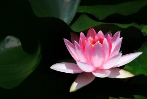 人到中年，才发现亲戚都很现实