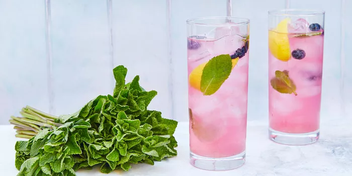 周董新歌让Mojito刷了屏,看完这篇,你才真懂这款鸡尾酒