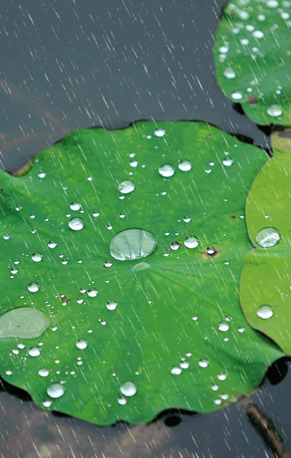 清新散文短篇关于青春的散文短篇