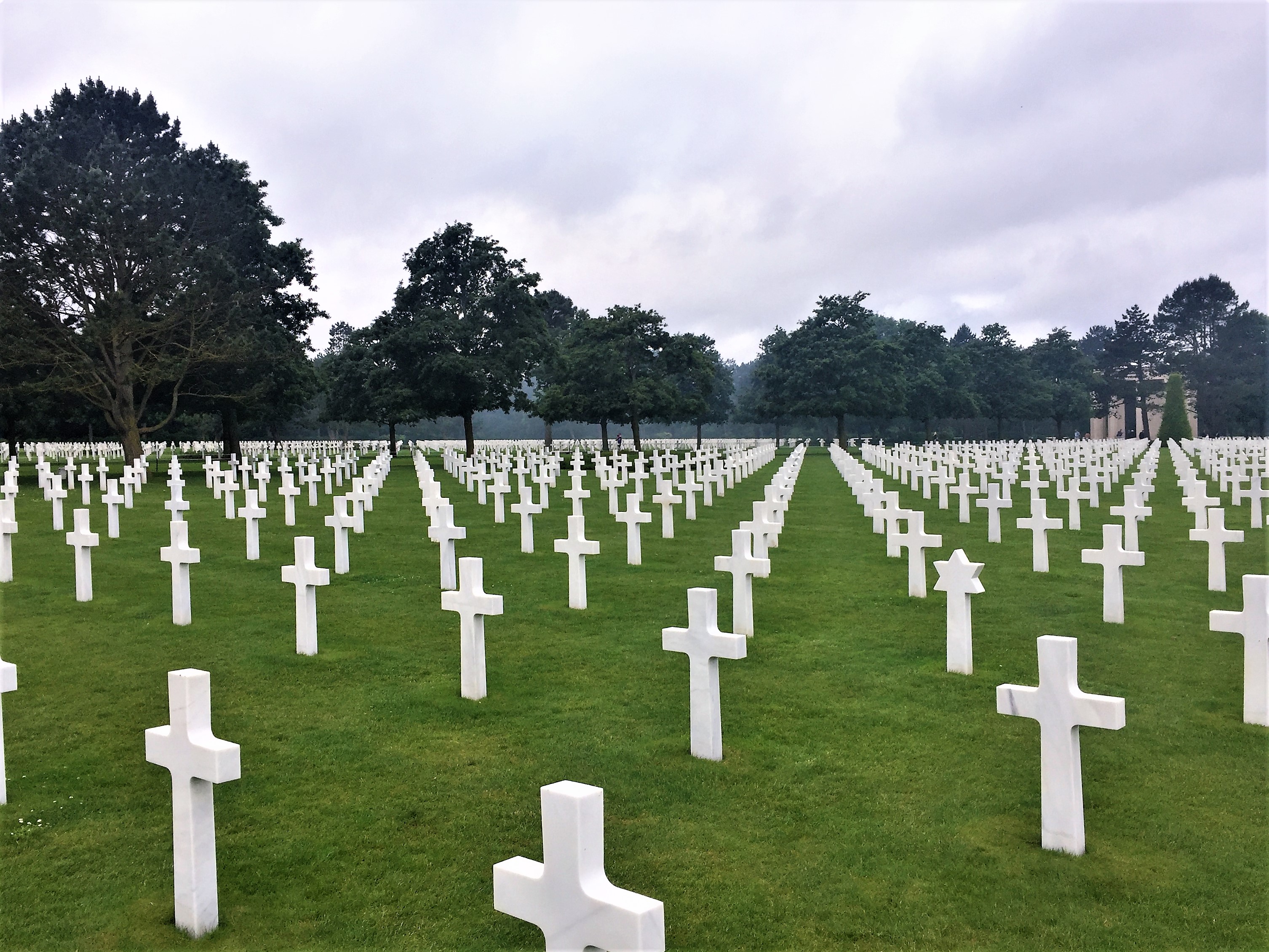 树葬图片包头市天堂公墓树葬图片