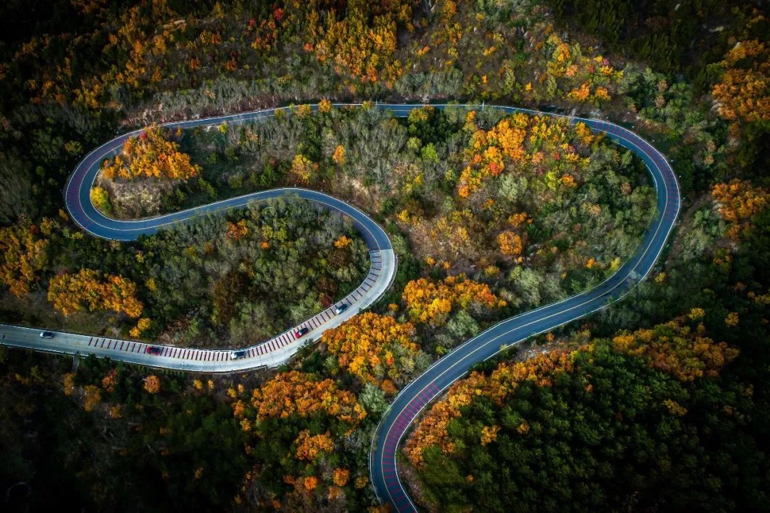 大排量也有小智慧 | 点滴试驾路虎揽胜运动版