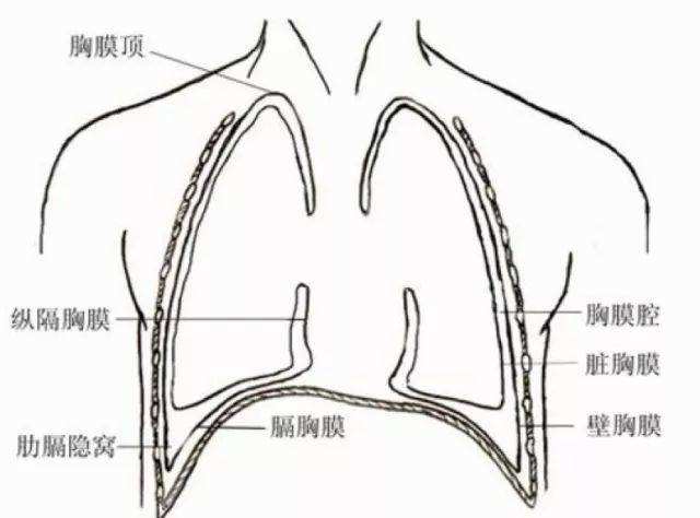 胸痛不只和心脏有关，有些原因更加凶险