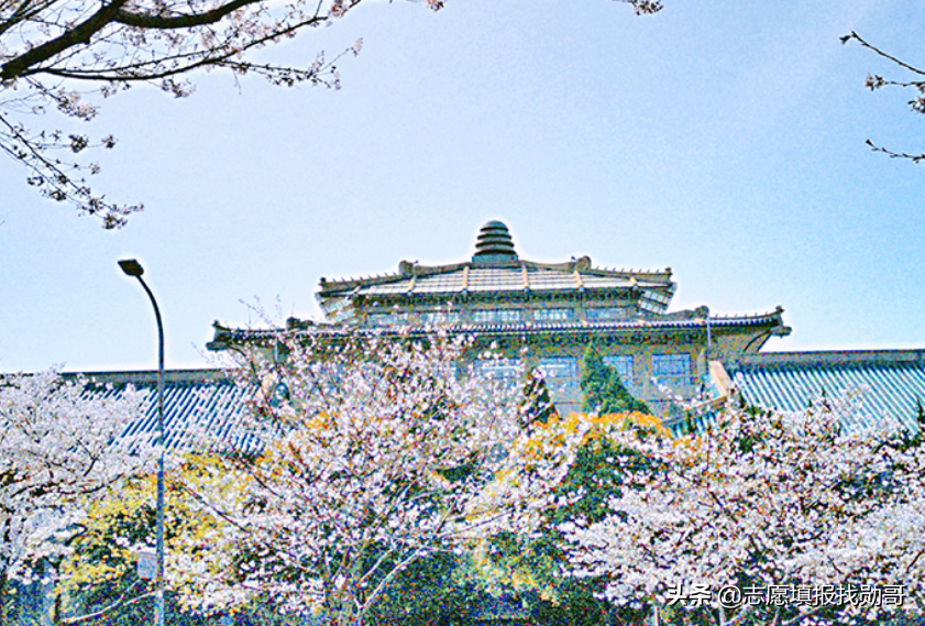 纠结武大和华科，看完这个分析表，你就会选了