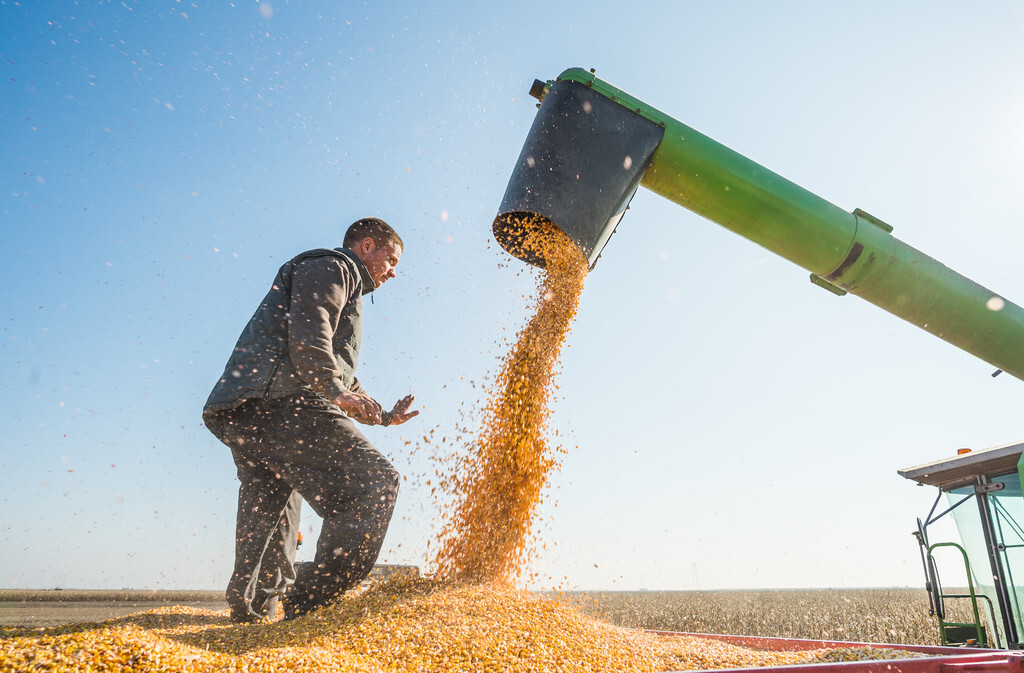 秋收季来了，玉米机械化收获需要注意哪些问题？