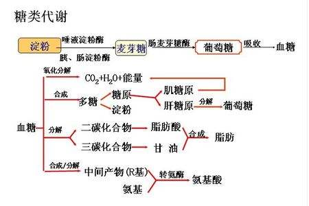 什么时间吃水果，可以减少脂肪的积聚，提高健身效果？