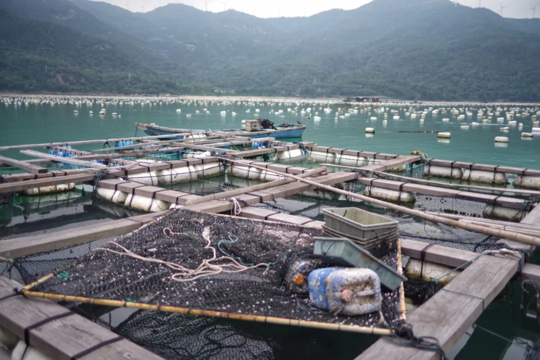 不如一起去广东看海吧,总有一个小岛能让你暂时做梦