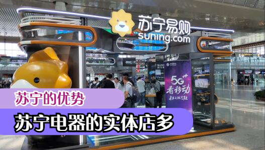 你觉得苏宁和京东两家企业，在未来谁的前景更好