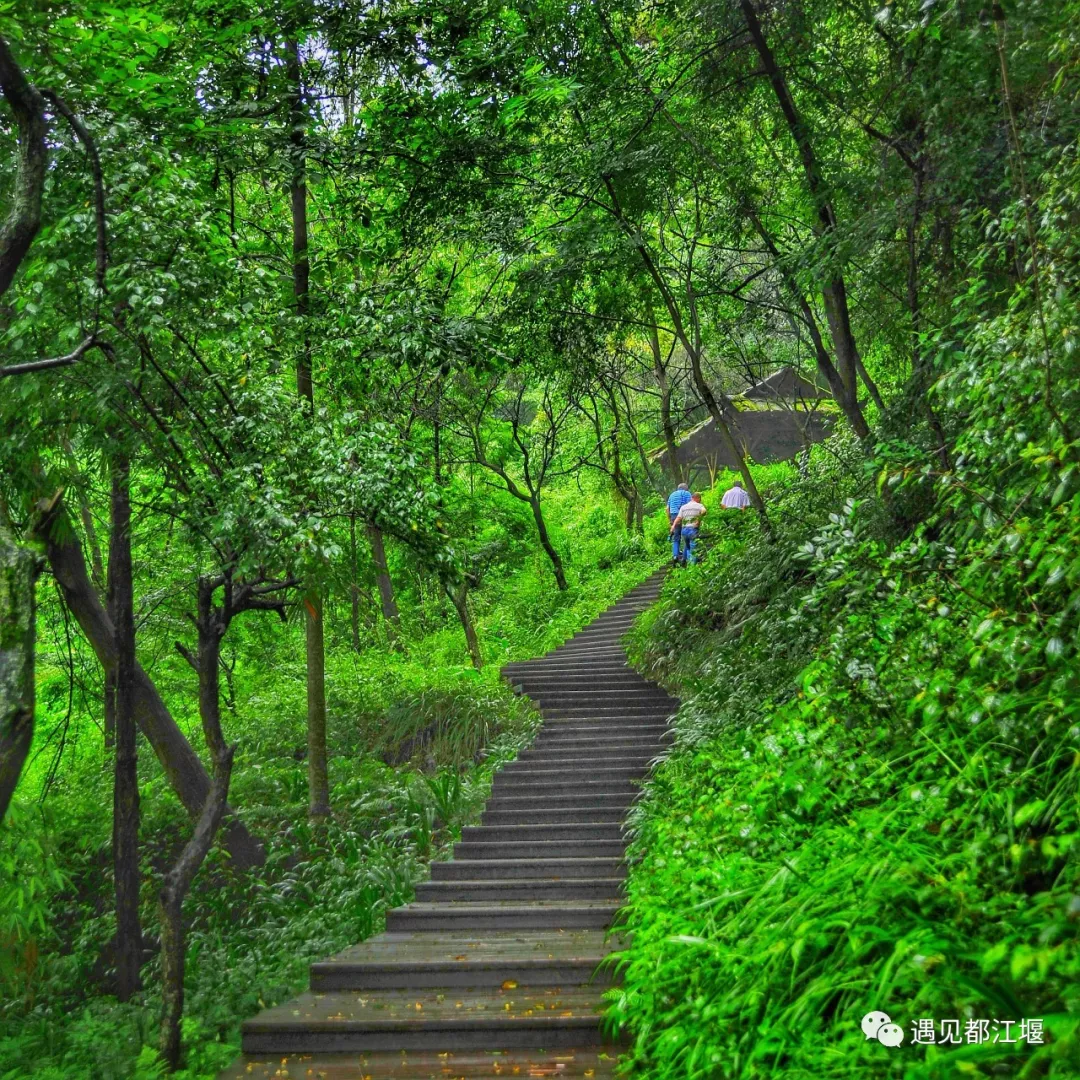 到青城山，解锁夏日最最最清凉的耍法